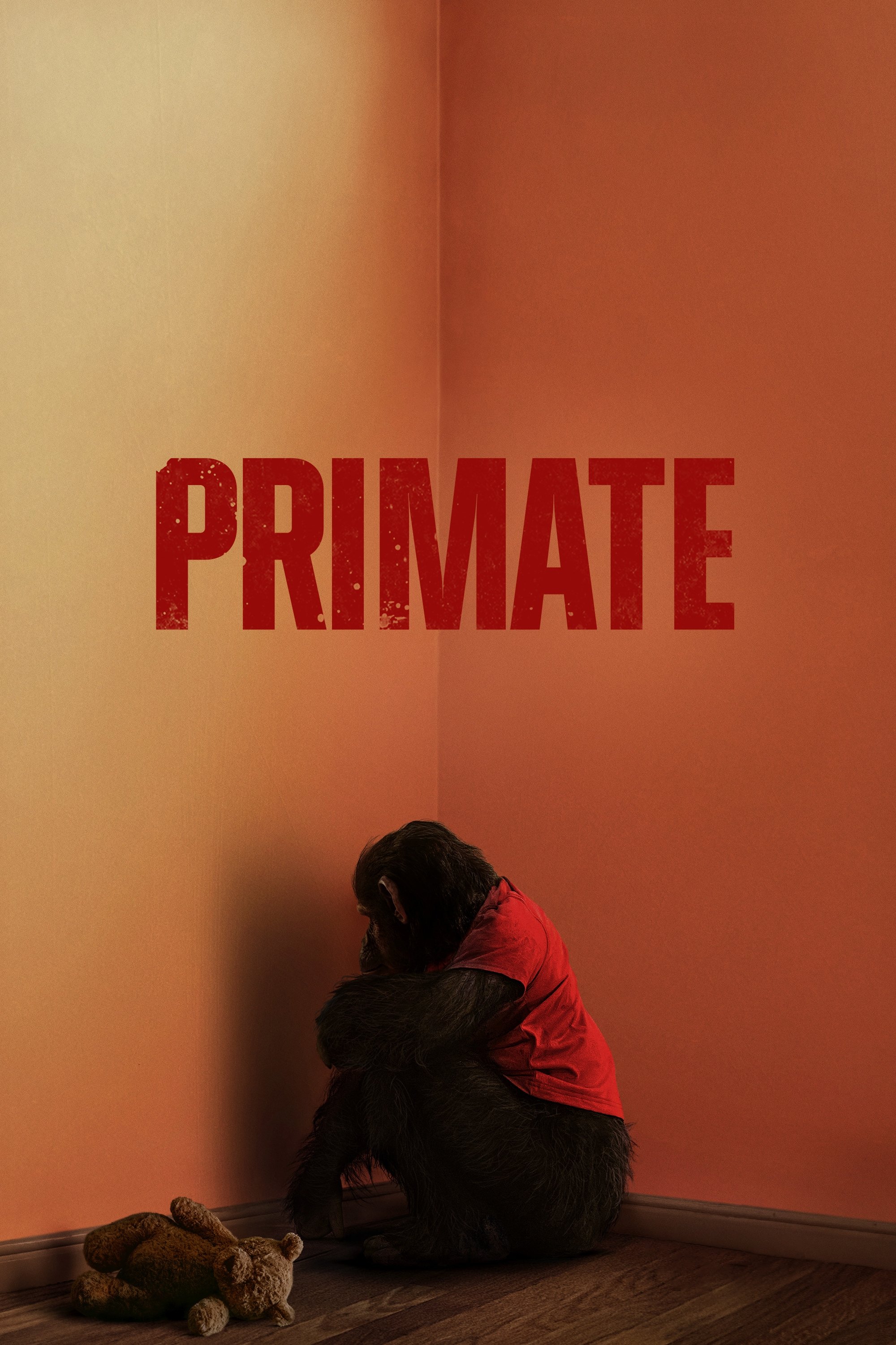 Primate